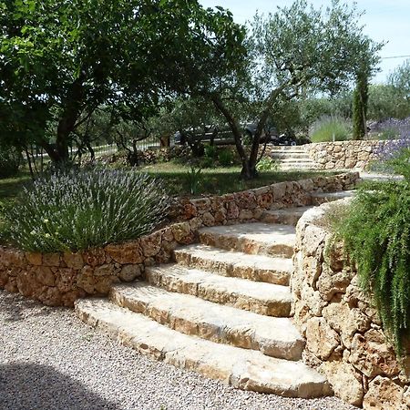 Mas De L'Olivette Bed & Breakfast Cotignac Exterior photo