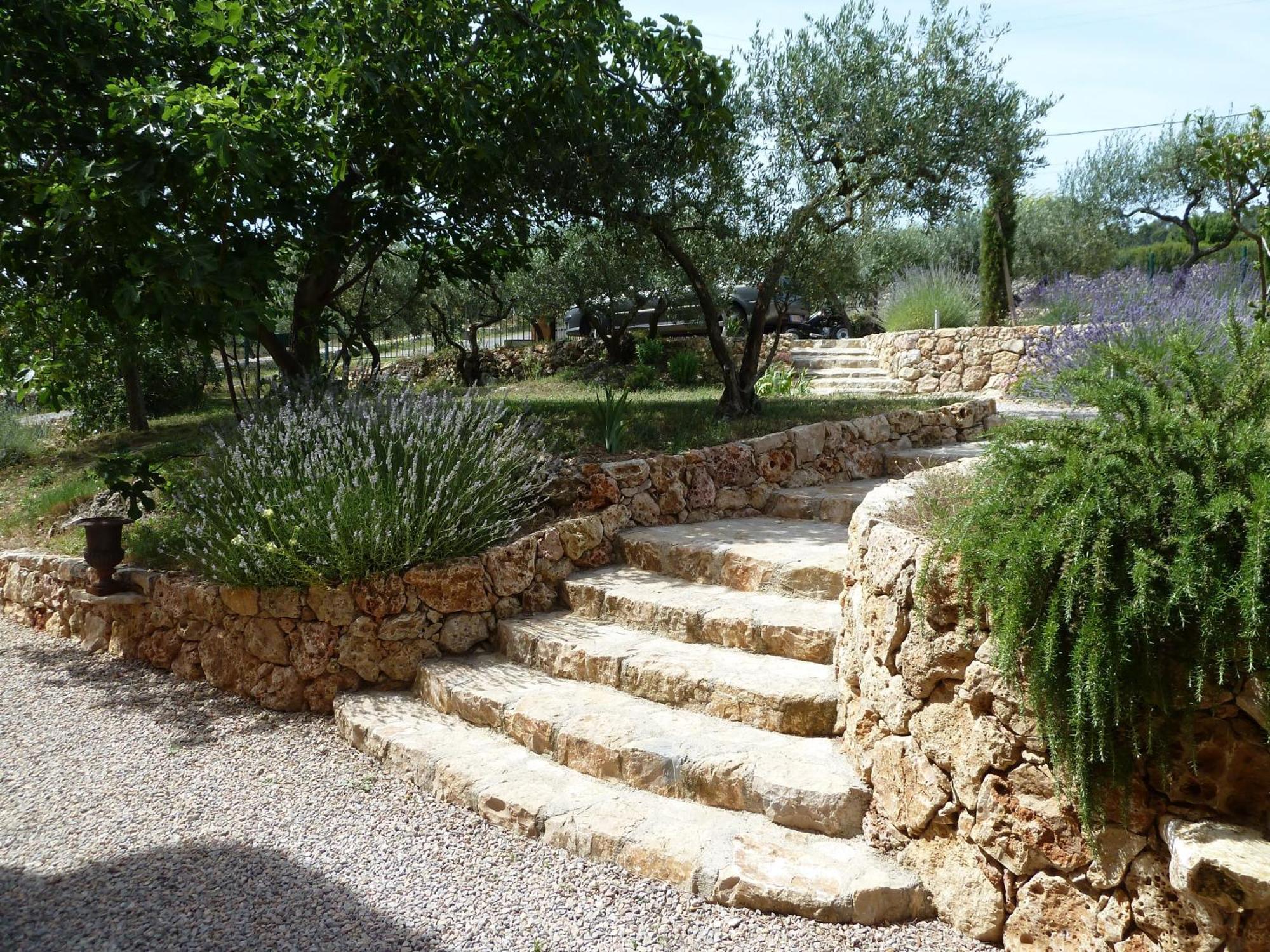 Mas De L'Olivette Bed & Breakfast Cotignac Exterior photo